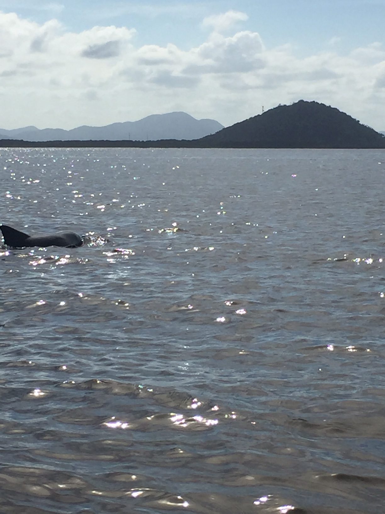 Https://Www.Passagenspromo.Com.Br/Blog/Ilha Do Cardoso/ - 7r919ob